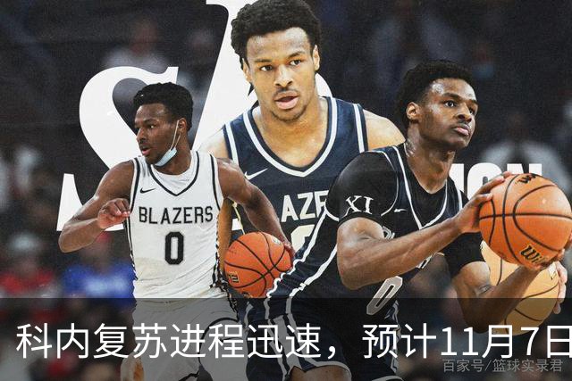 科内复苏进程迅速,预计11月7日可参与对萨索洛的赛事