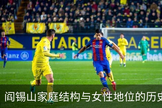 阎锡山家庭结构与女性地位的历史分析